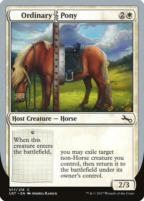 Ordinary Pony - Unstable - C - 17
