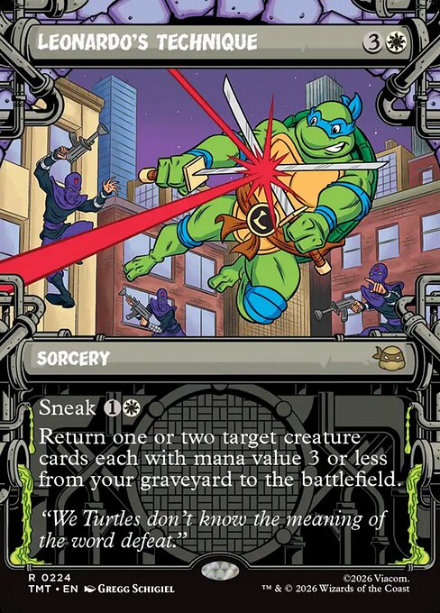 Leonardo's Technique (Showcase) - Teenage Mutant Ninja Turtles - R - 224