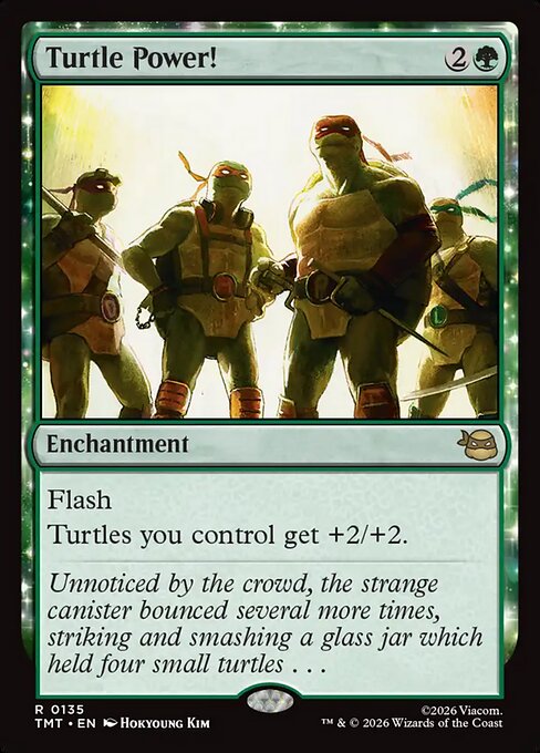 Turtle Power! - Teenage Mutant Ninja Turtles - R - 135
