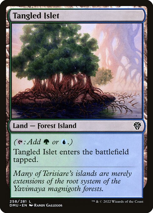 Tangled Islet - Dominaria United - L - 258