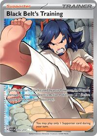 Black Belt's Training - ME: Ascended Heroes - Ultra Rare - 255/217