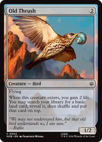 Old Thrush - The Hobbit - C - 2