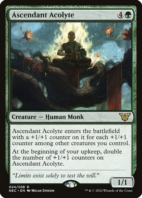 Ascendant Acolyte - Commander: Kamigawa: Neon Dynasty - R - 24