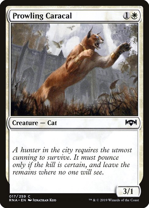 Prowling Caracal - Ravnica Allegiance - C - 17