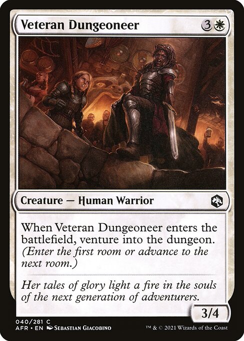 Veteran Dungeoneer - Adventures in the Forgotten Realms - C - 40