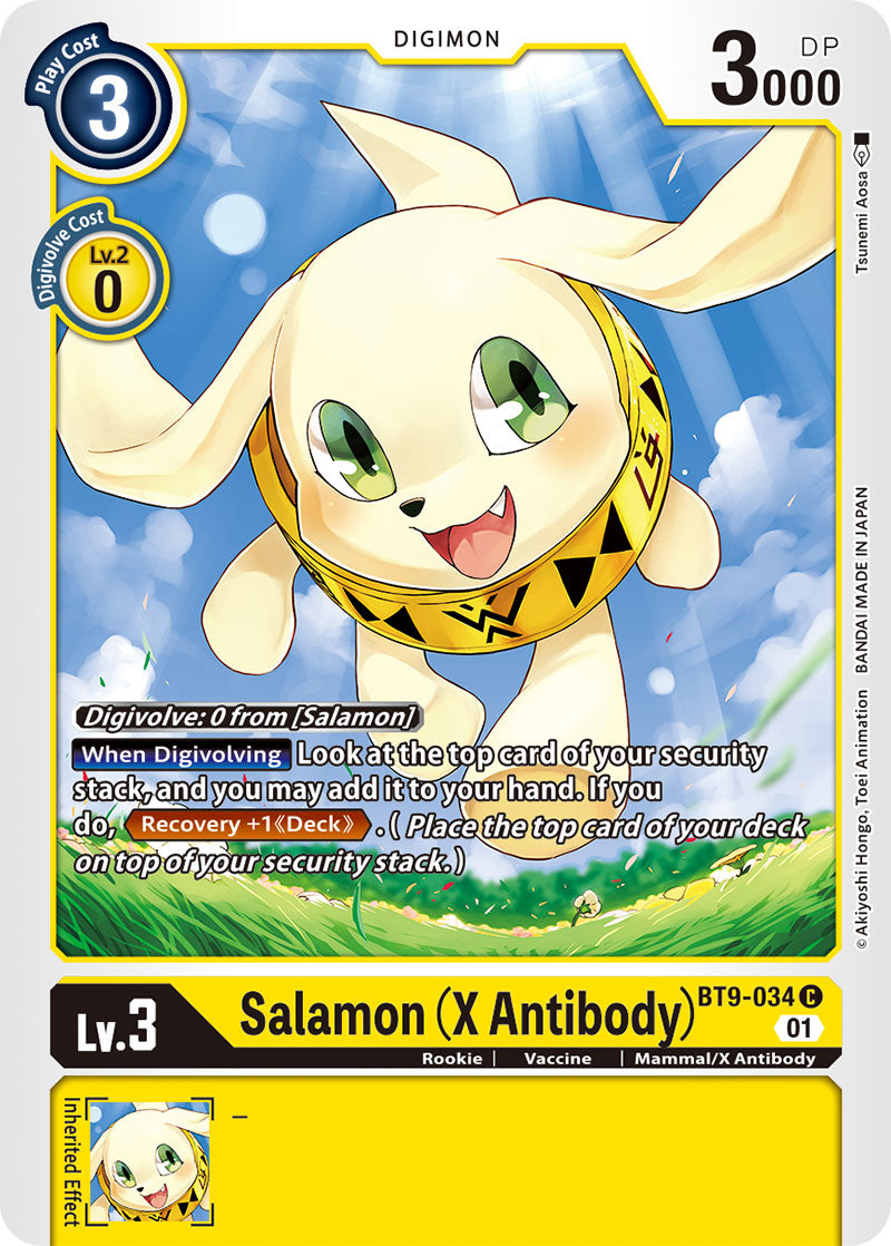 Salamon (X Antibody) - X Record - Common - BT9-034 C