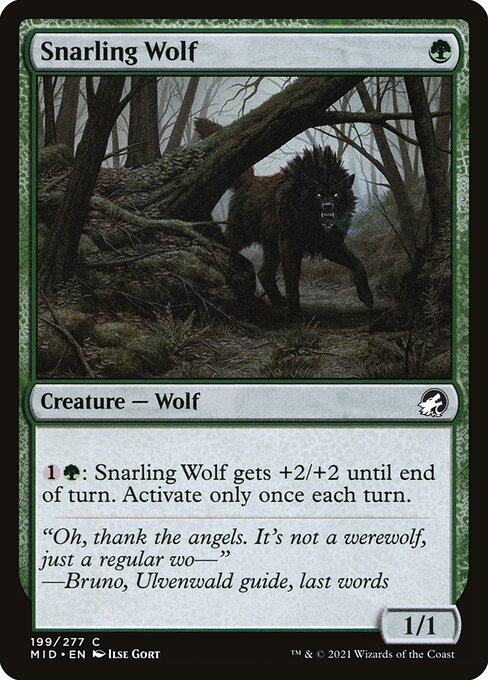 Snarling Wolf - Innistrad: Midnight Hunt - C - 199