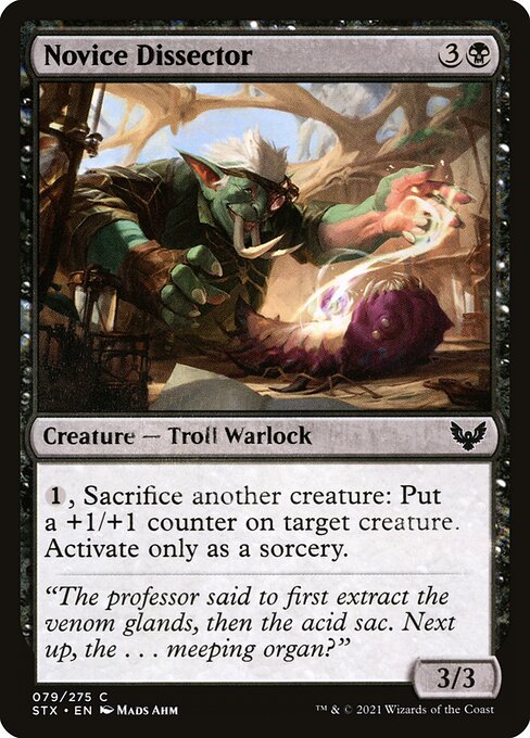 Novice Dissector - Strixhaven: School of Mages - C - 79