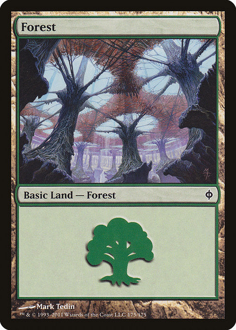 Forest (175) - New Phyrexia - L - 175
