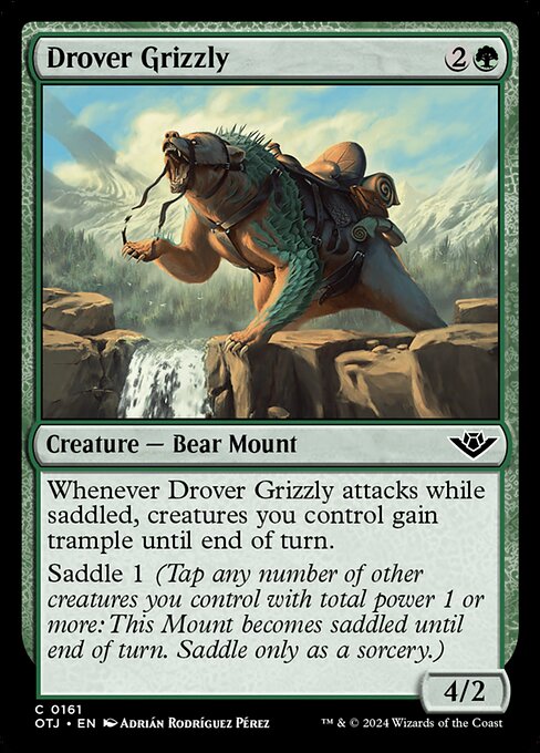 Drover Grizzly - Outlaws of Thunder Junction - C - 161