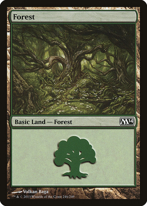 Forest (246) - Magic 2014 (M14) - L - 246