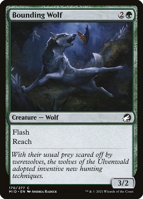 Bounding Wolf - Innistrad: Midnight Hunt - C - 170