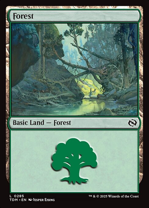 Forest (0285) - Tarkir: Dragonstorm - L - 285