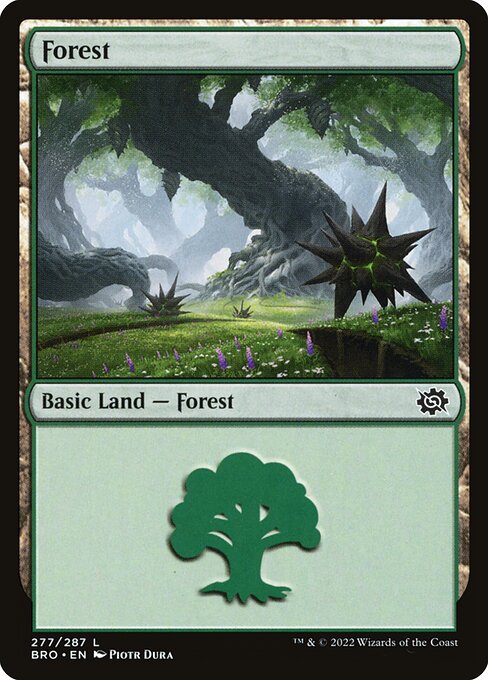 Forest (277) - The Brothers' War - L - 277