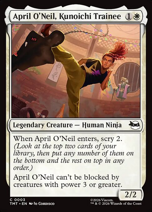 April O'Neil, Kunoichi Trainee - Teenage Mutant Ninja Turtles - C - 3