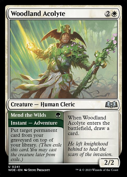 Woodland Acolyte - Wilds of Eldraine - U - 241