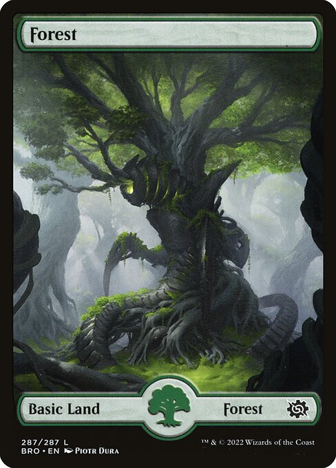 Forest (287) - Full Art - The Brothers' War - L - 287