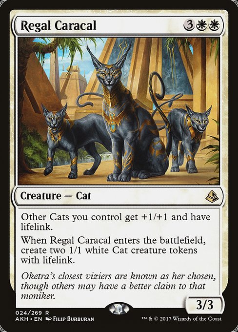 Regal Caracal - Amonkhet - R - 24