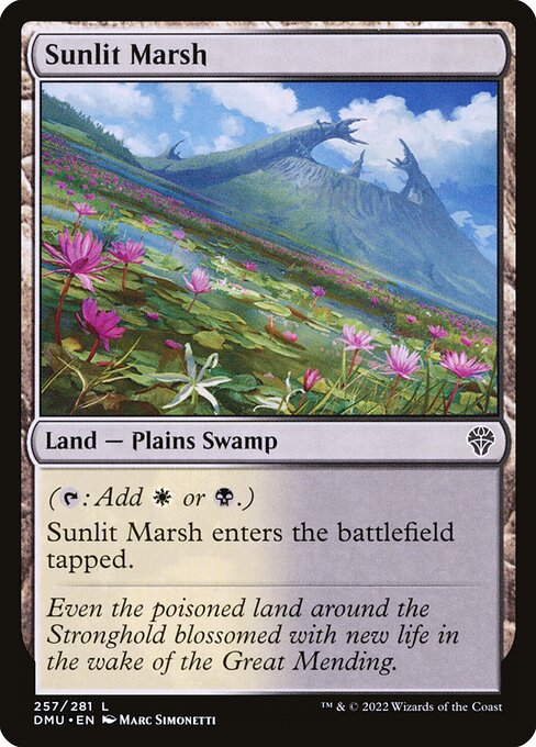 Sunlit Marsh - Dominaria United - L - 257