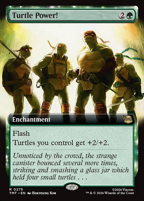 Turtle Power! (Extended Art) - Teenage Mutant Ninja Turtles - R - 275